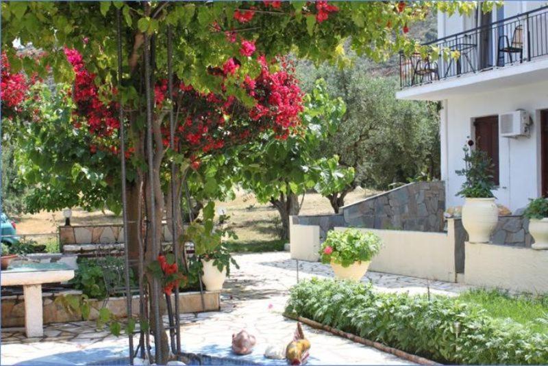 Ballas Apartments Agia Efimia Eksteriør billede